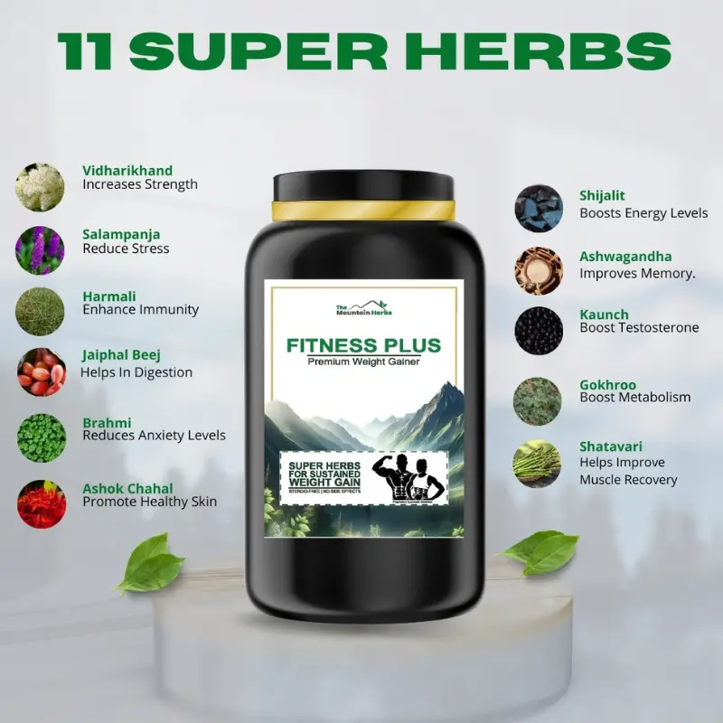 FITNESS PLUS WEIGHT GAINER - THE MOUNTAIN HERBS